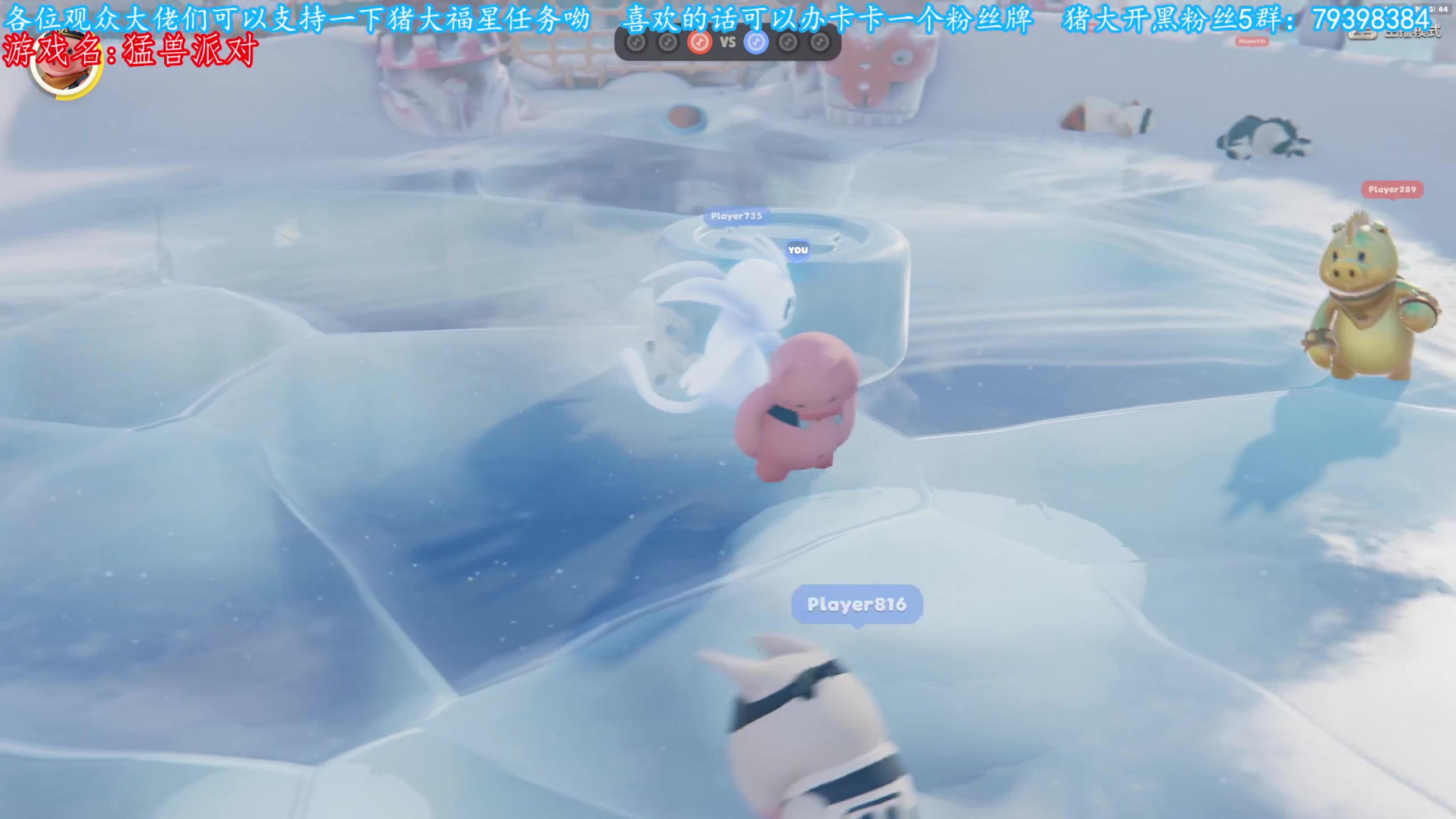 【2023-10-06 08点场】主播猪大：哥哥进来看看我嘛。