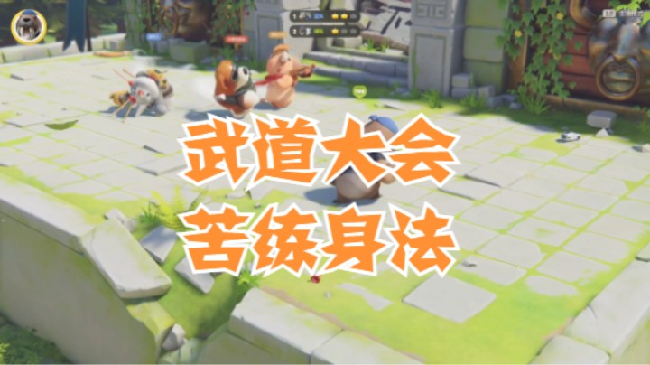 武道大会，苦练身法