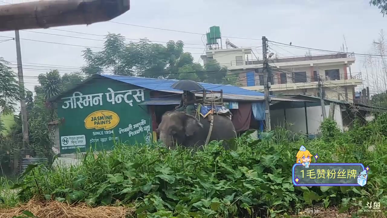 【2023-10-01 15点场】叶子户外：中秋快乐《纪实直播》尼泊尔