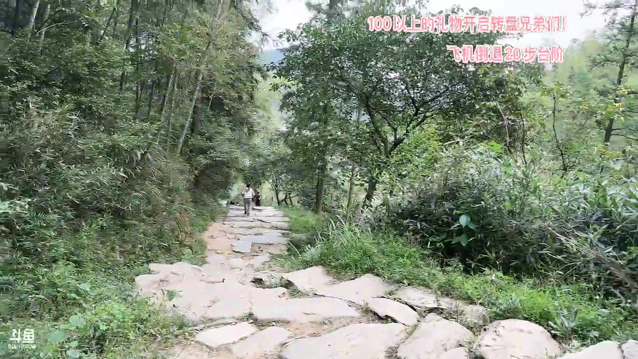 【2023-10-06 14点场】胸肌很大的良小伞：和妹妹一起爬庐山！巨龙族集合！！