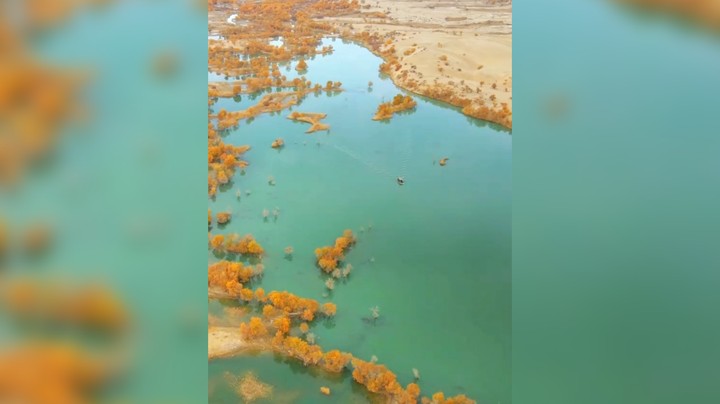 活在这珍贵的人间，太阳强烈，水波温柔 ——海子