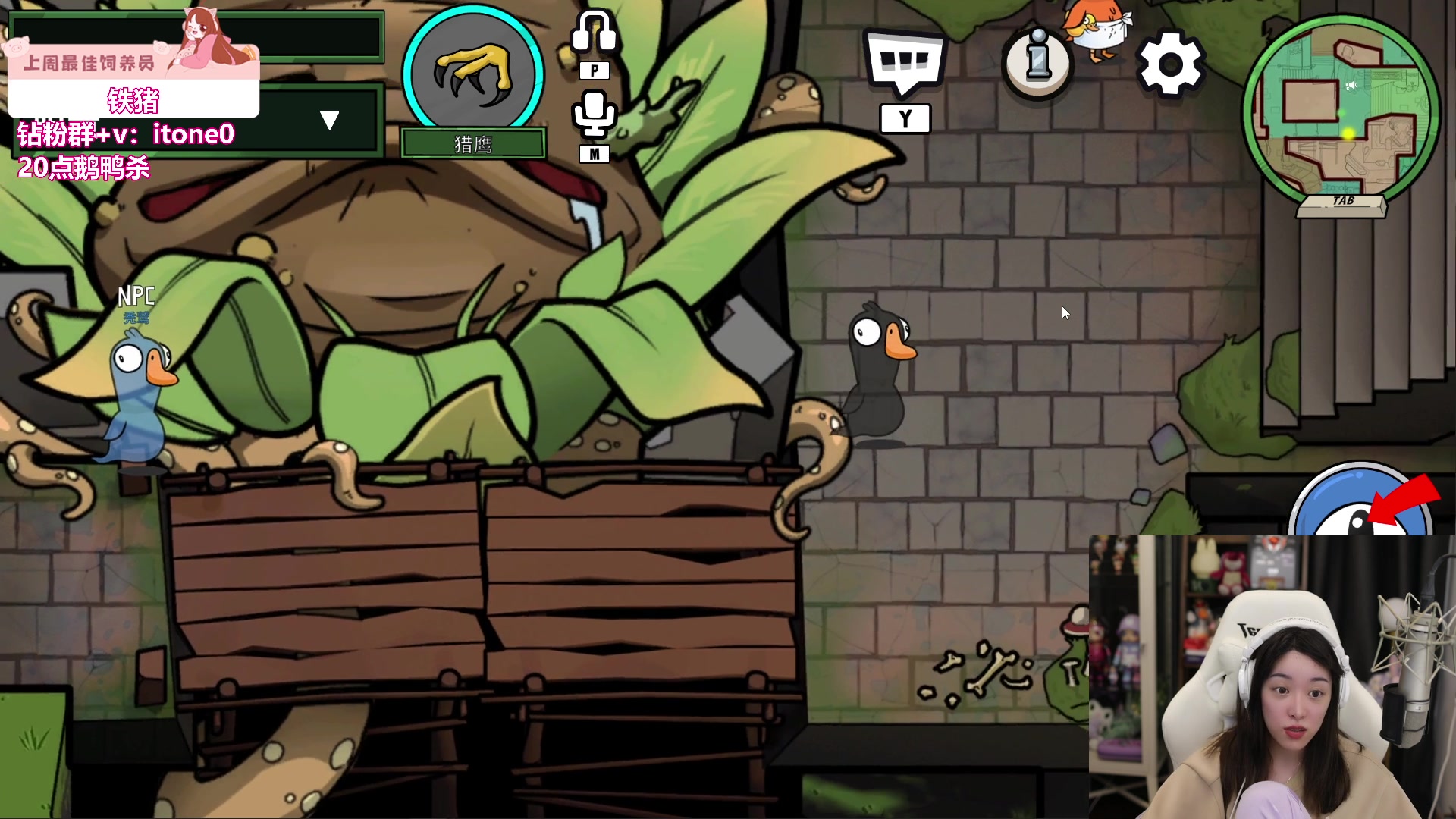 【2023-10-06 22点场】童猪啊i：今天六点半来