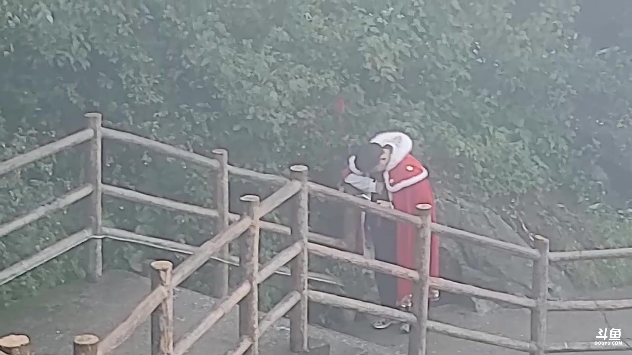 【2023-10-06 16点场】唐6儿：【小奶团】老君山 我来爬了~