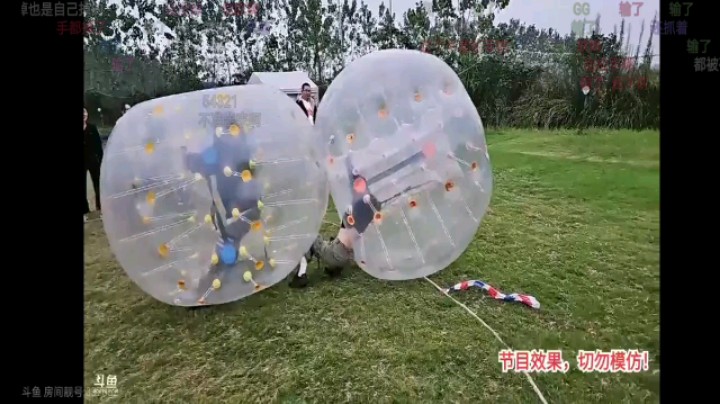 元宝vs橘子，橘子获胜