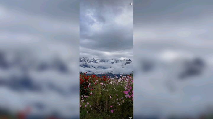 雪山和鲜花一次看够了