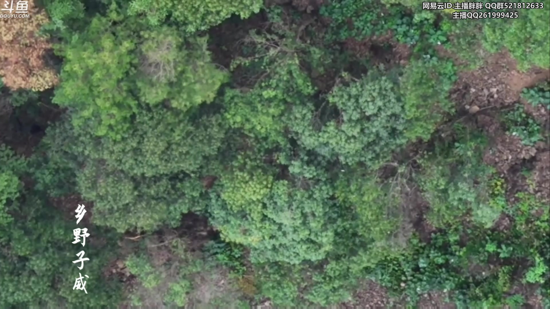 【2023-10-08 03点场】胖胖灬：胖胖OB：LPL出征韩国 韩服集训