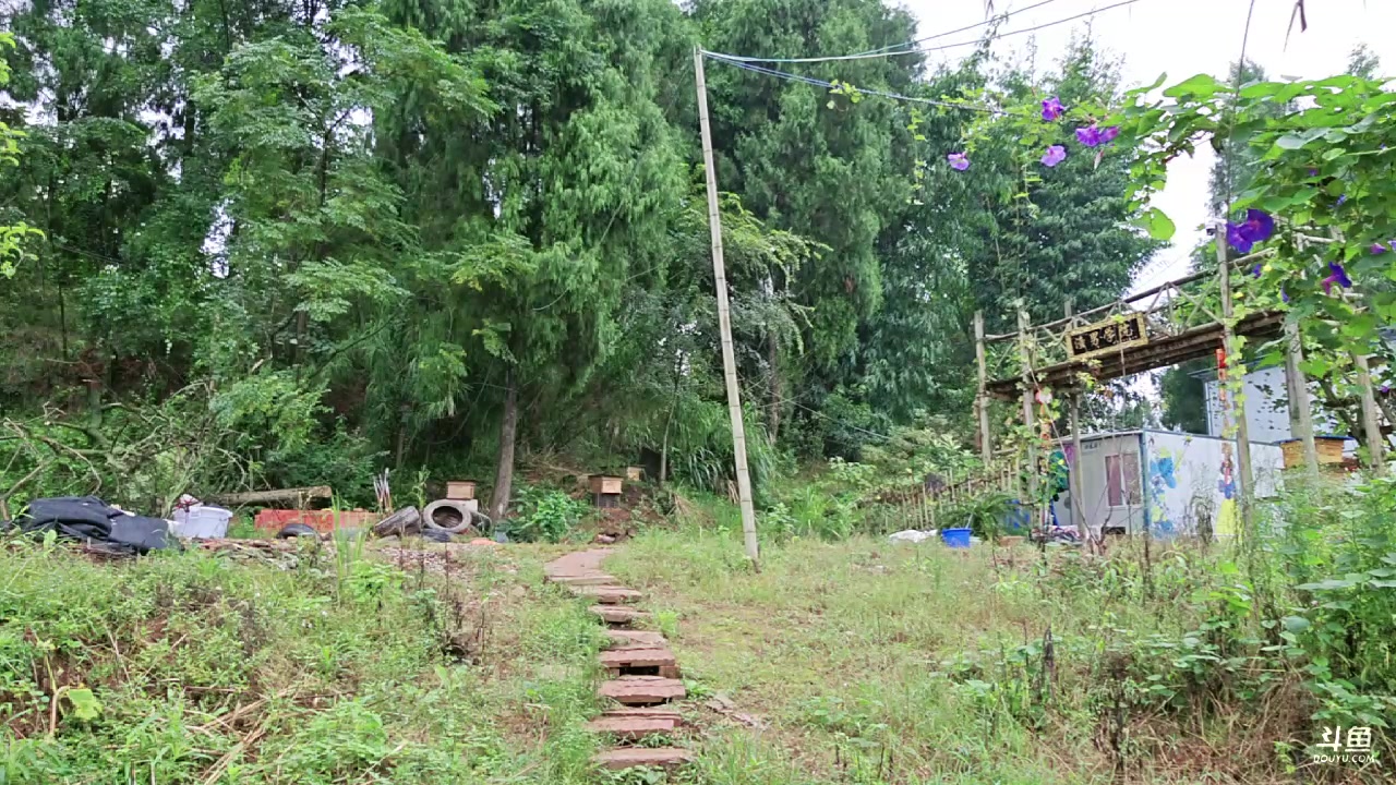 【2023-10-04 13点场】秀才冷男：出笼啦~~~~