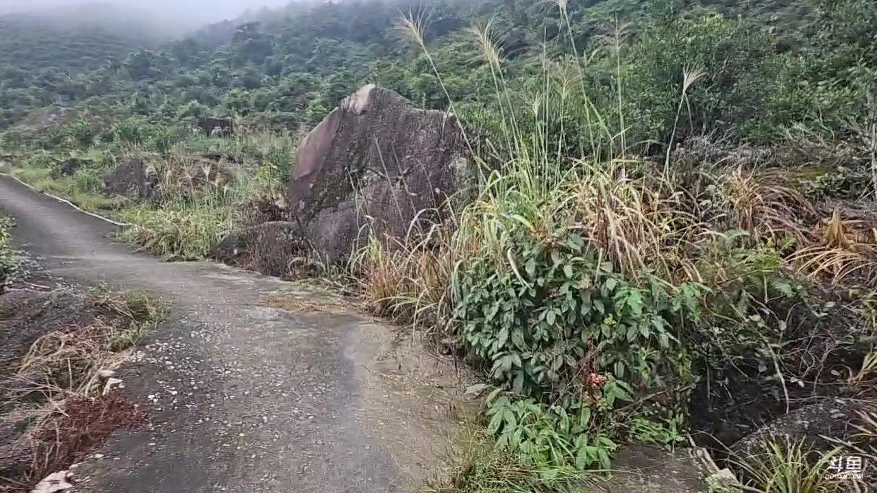 【2023-10-09 12点场】蓝战非OvO：攀爬潮汕第一山凤鸟髻～环游第203天