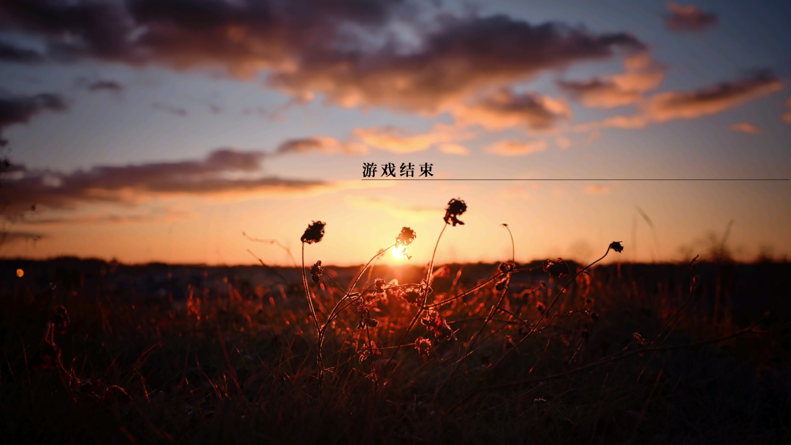 【2023-10-09 20点场】布鲁斯菲尔：晚间档P4G一会 （在剪视频）