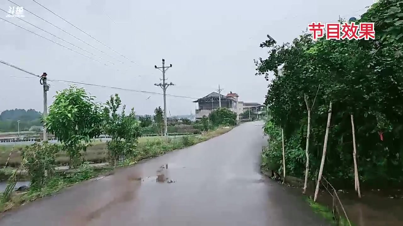 【2023-10-09 16点场】别问问就黑皮：重庆985户外