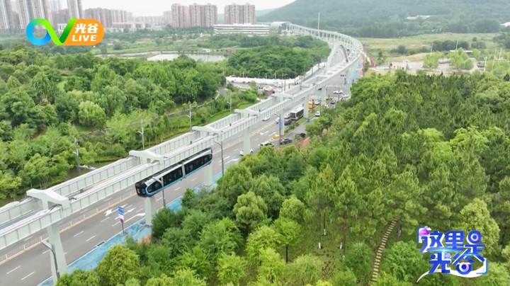 20231009这里是光谷