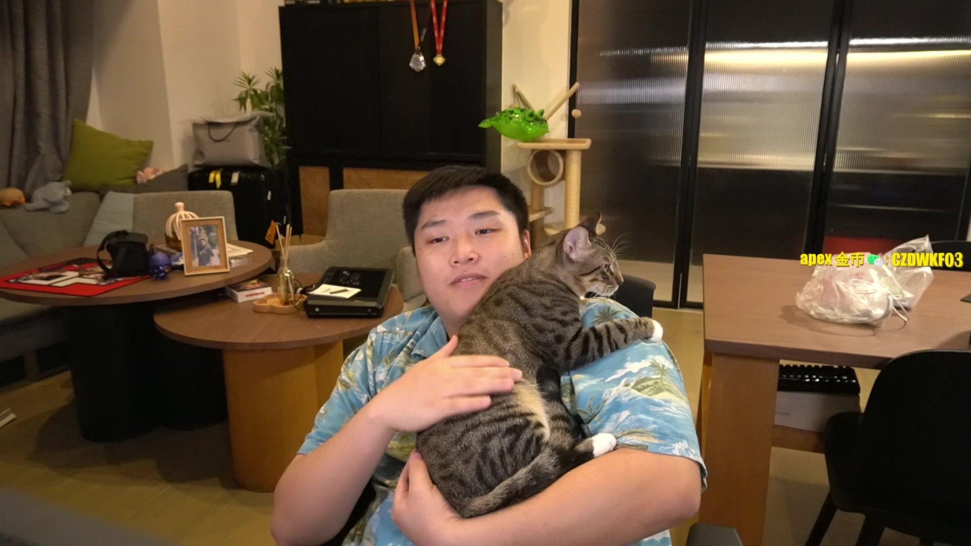 【2023-10-08 01点场】皮特174：今晚5-6点来 钻粉卡 0.1元粉丝牌