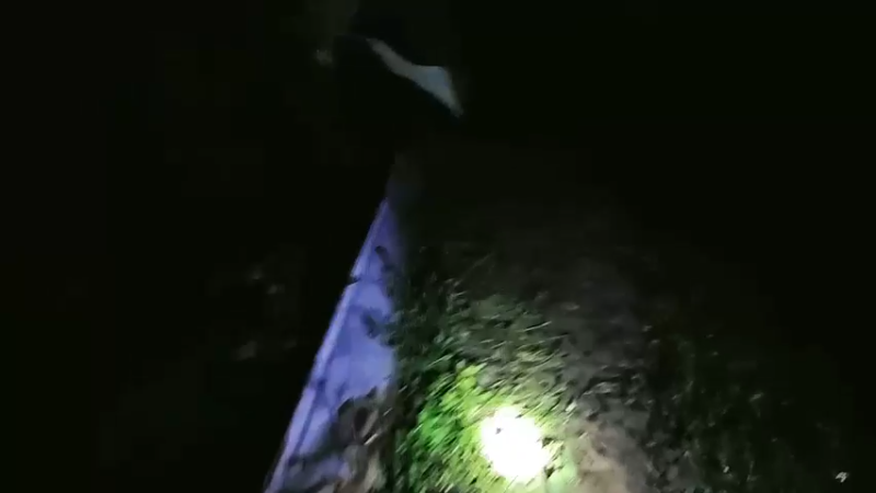 【2023-10-04 03点场】秀才冷男：出笼啦~~~~