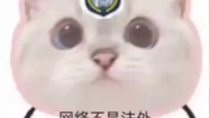 【2023-10-10 0点场】格诺天天开心:挑战2000人头不打满不下播