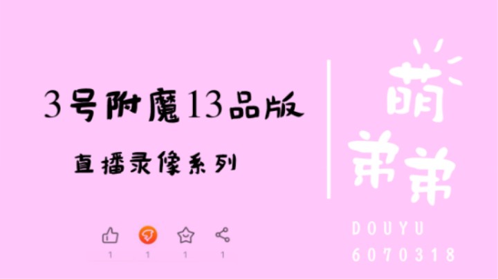 3号位附魔13品版本