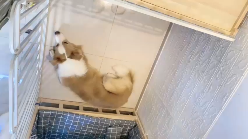 【2023-10-10 08点场】了憨憨UwU：【有车位】最近过敏了了 暂时不开摄像头
