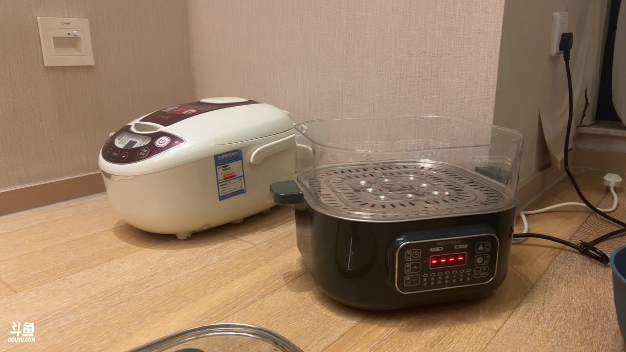【2023-10-10 18点场】大胖狗koko：买菜做饭咯