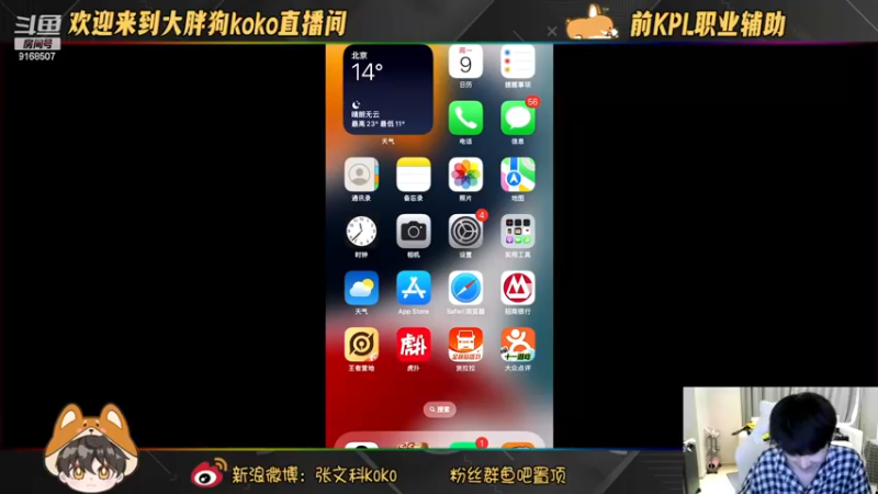 【2023-10-09 23点场】大胖狗koko：王者荣耀 启动