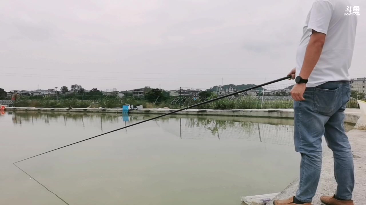 【2023-10-10 11点场】中华户外钓鱼：60一天钓滑鲤能爆护吗