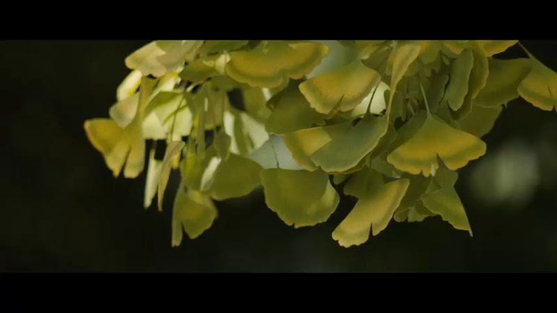 2023全球总决赛入围赛第一日宣传片