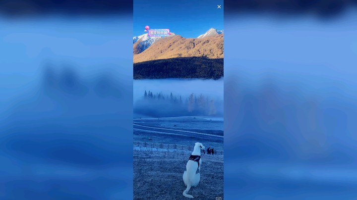 来新疆北疆看云海雪山