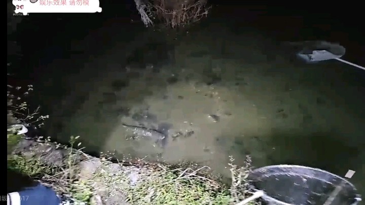 博哥等人晚上抓鱼都好容易