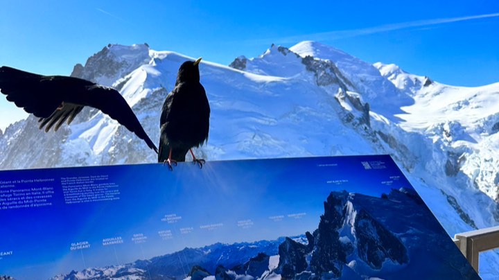 【2023-10-10 20点场】文了个晴:May帝国时代成长之路