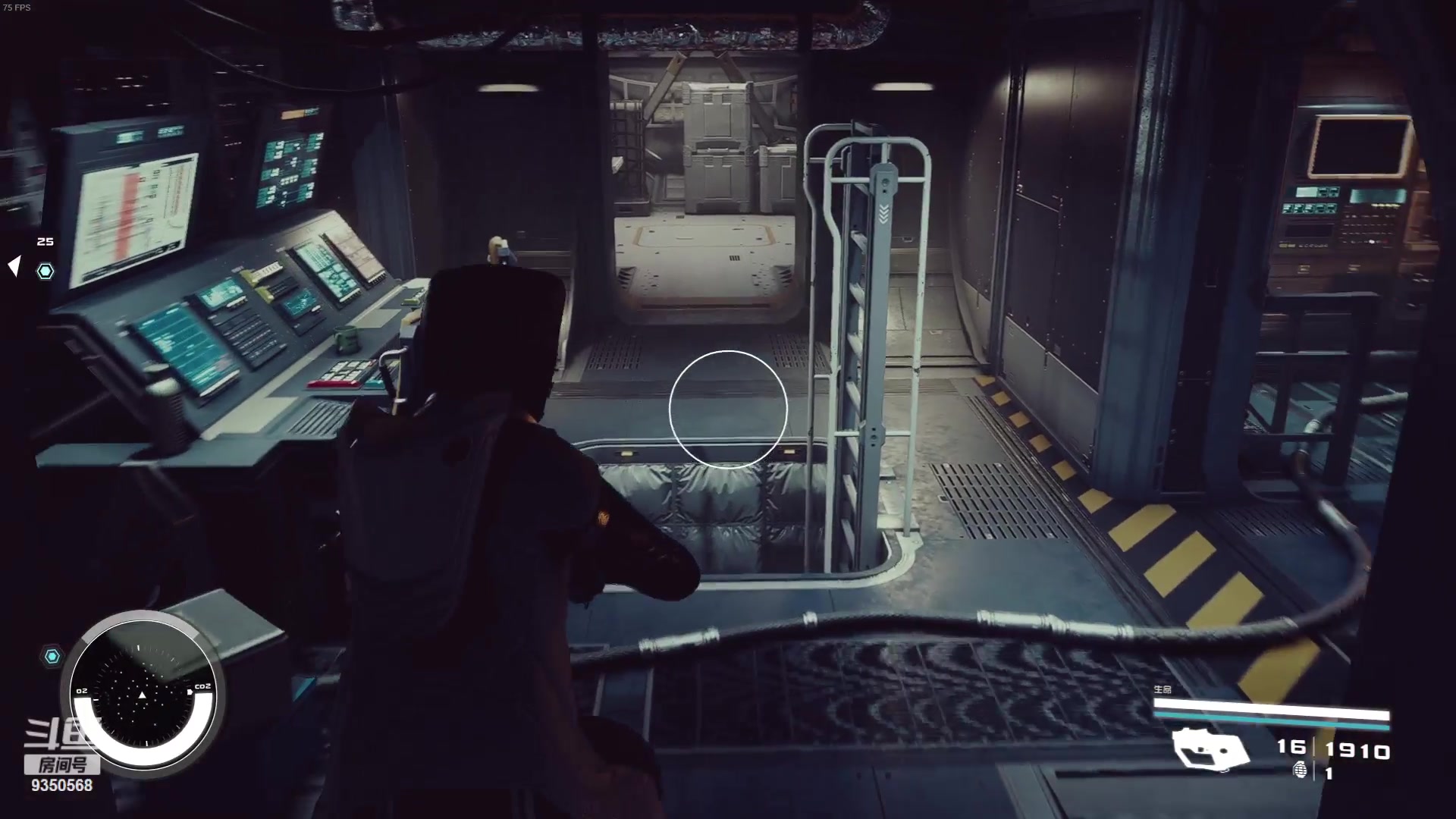 【2023-10-12 01点场】THANATOS0v0：红色虞美人 ！9350568