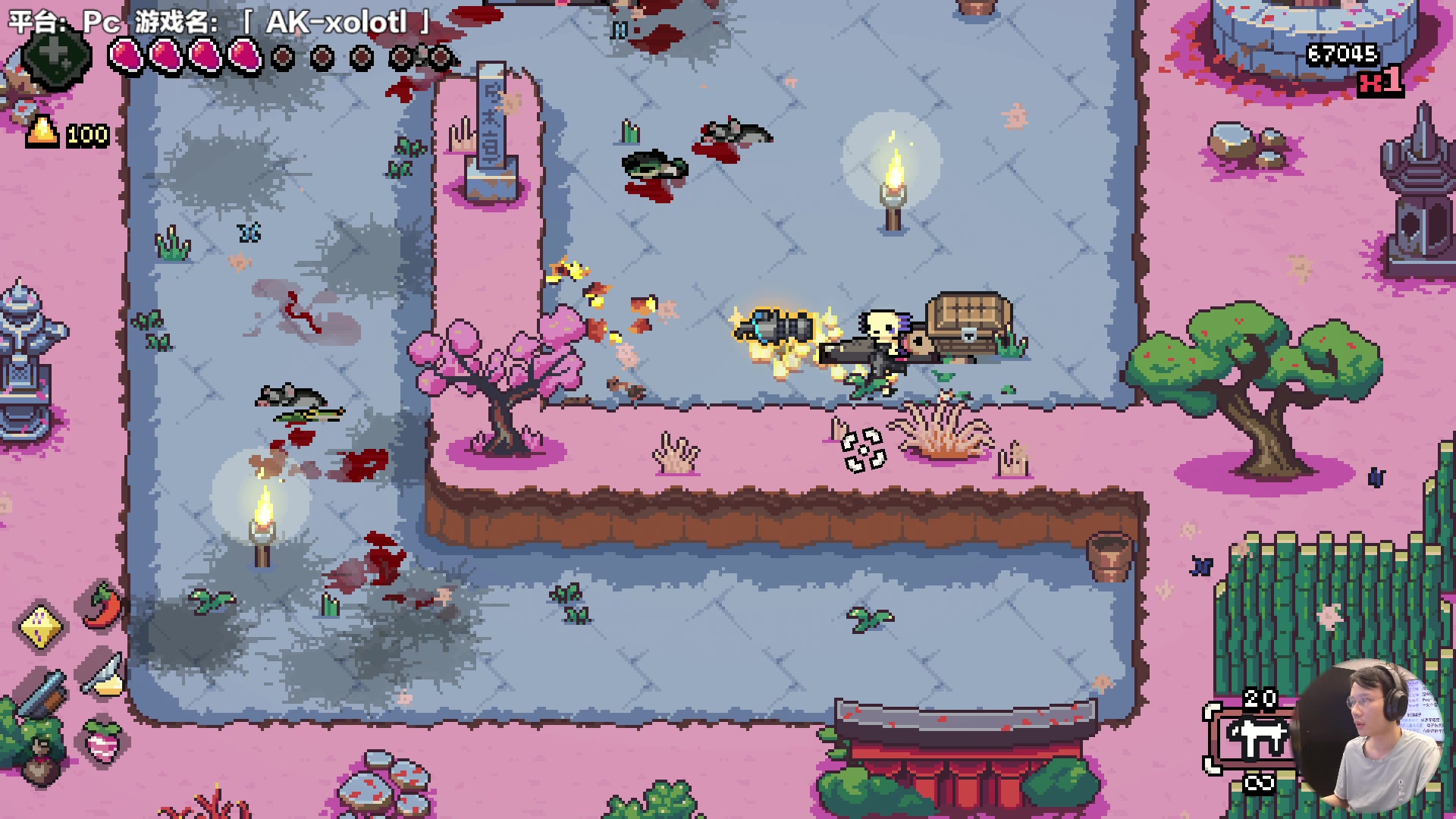 【2023-10-12 12点场】超级小桀：小可爱的探险之路