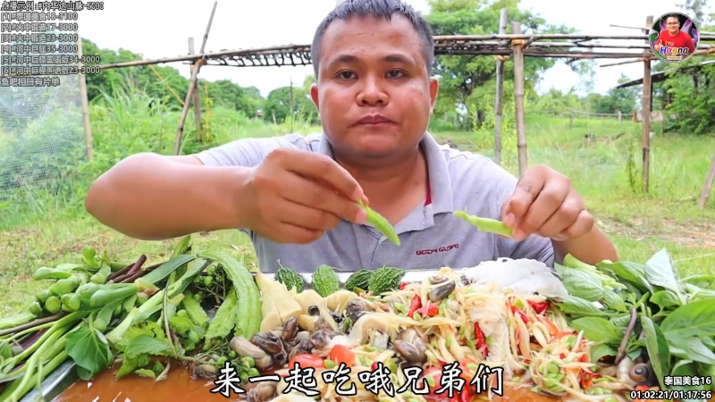 【纪录片】酷炫你你你的精彩时刻 20231013 08点场