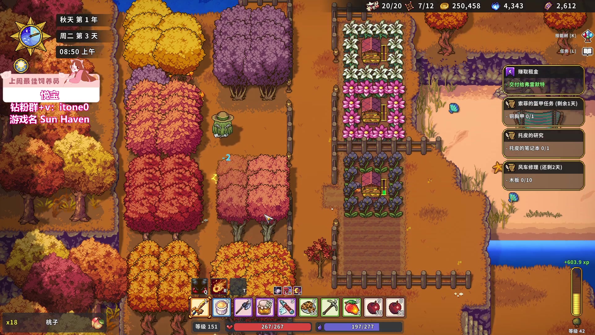 【2023-10-14 06点场】童猪啊i：熬夜种田的小猪老师（双倍亲密度）