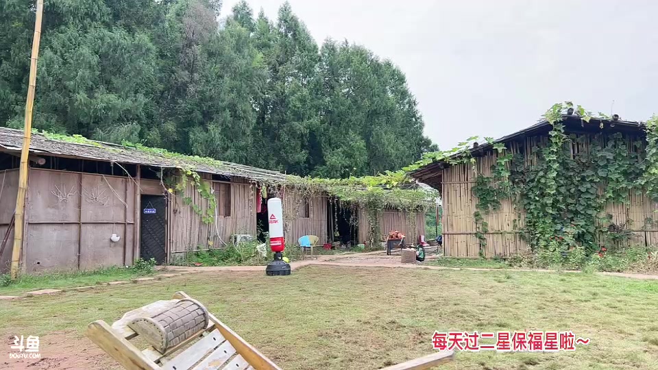 【2023-10-15 12点场】惠娜娜呀：【小奶团】恭喜白羊满级牌子～爷爷荣升榜一