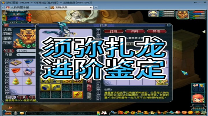 梦幻西游须弥扎龙进阶鉴定