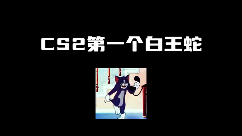 【小樱】cs2开出的超白好看王蛇手套