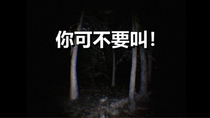 虚幻引擎5打造！超级真实恐怖游戏！坚持18分钟「不要尖叫」