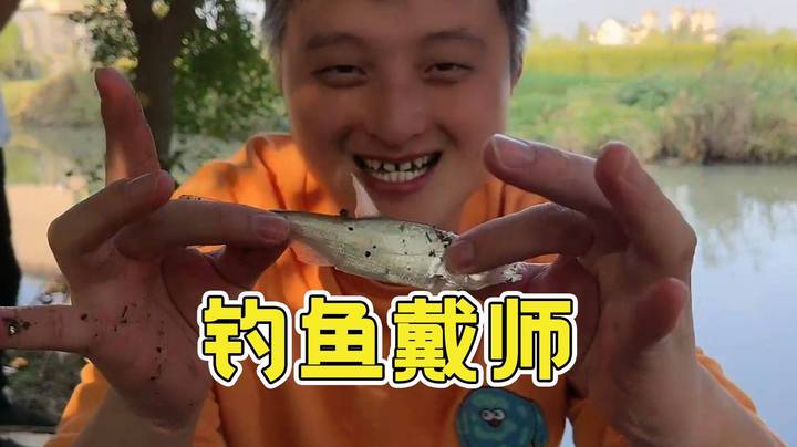 【户外直播】钓鱼戴师再次展示戴钓术！家门口小河里钓起四个巨型！