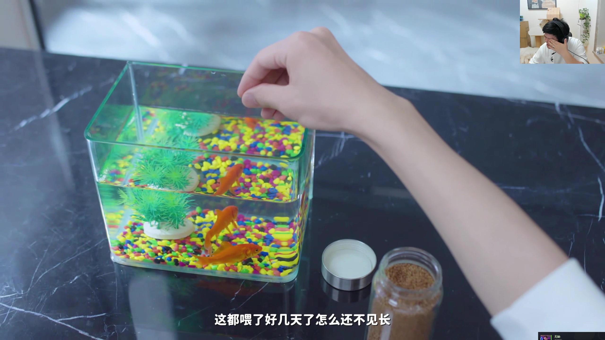 【2023-10-19 00点场】叫我老陈就好了：【DOTA2】周边带货17日21点开抢！