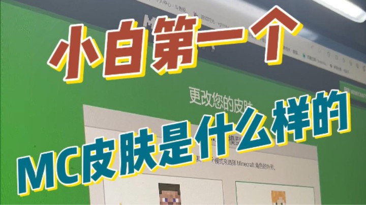 游戏小白第一个MC皮肤是什么样的