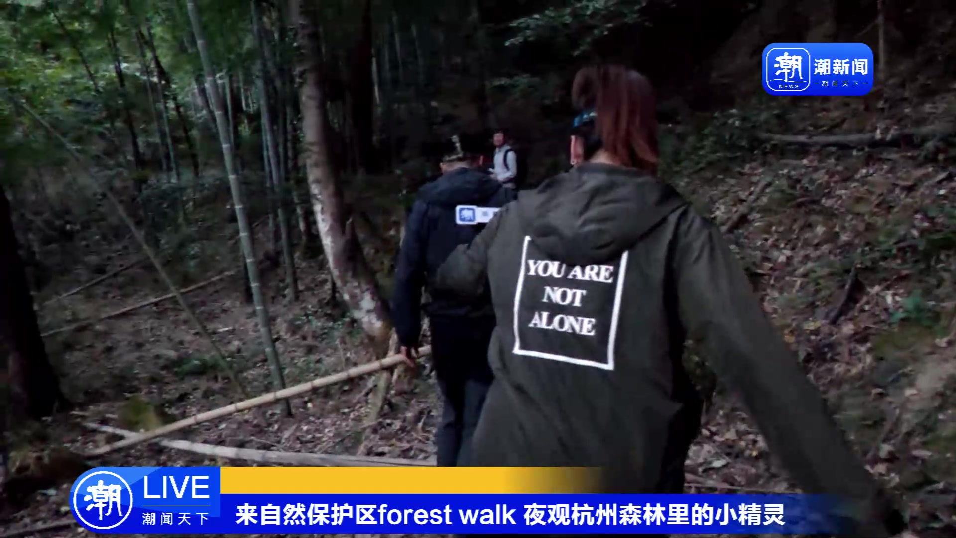 【2023-10-22 16点场】浙江日报直播室：来自然保护区forest walk