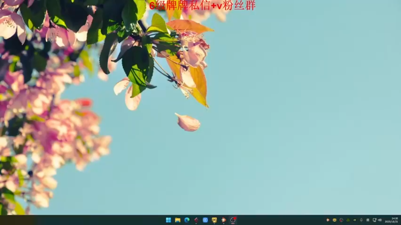 【2023-10-21 14点场】来自星星的神秘女子：神秘故事屋