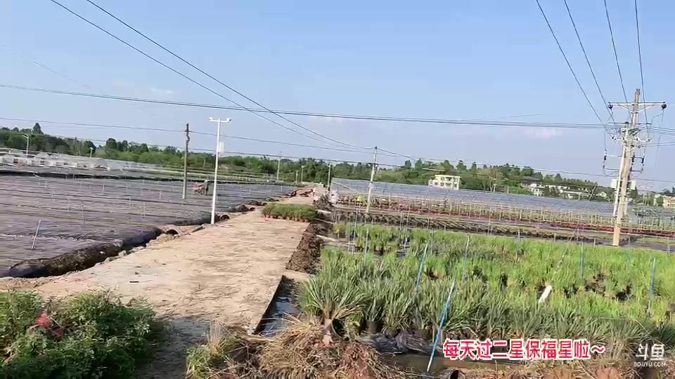 【2023-10-21 16点场】惠娜娜呀:【小奶团】985团播