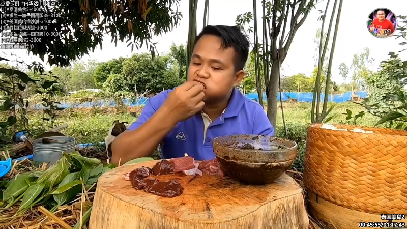 【纪录片】酷炫你你你的精彩时刻 20231022 08点场