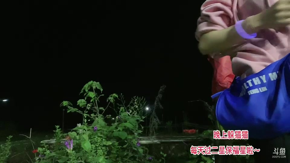 【2023-10-17 20点场】惠娜娜呀：【小奶团】985团播