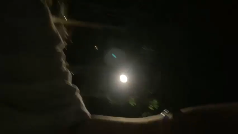 【2023-10-23 01点场】板板OwO：【呆猪】不回家的板本