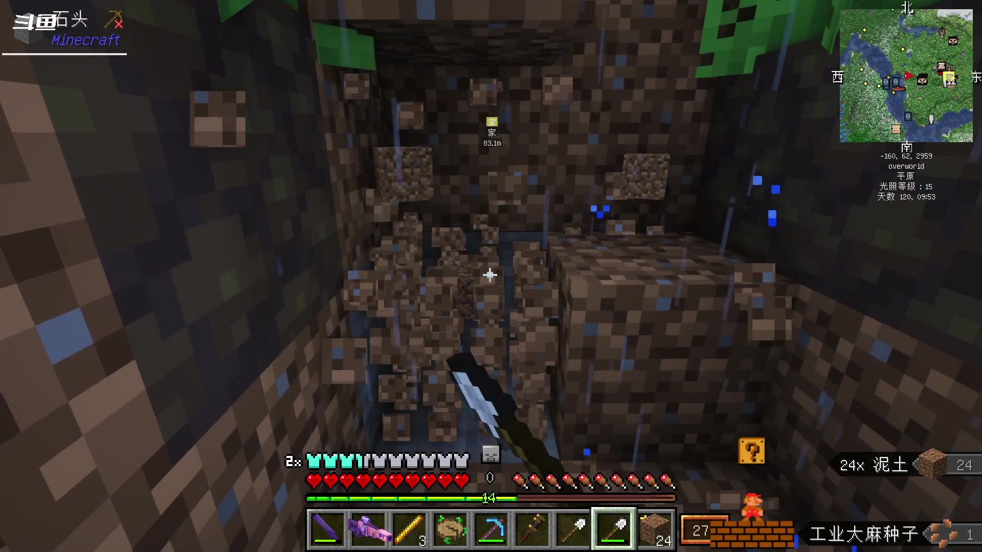 【2023-10-25 17点场】隐者丶丶：一个超级勤奋的小蜜蜂