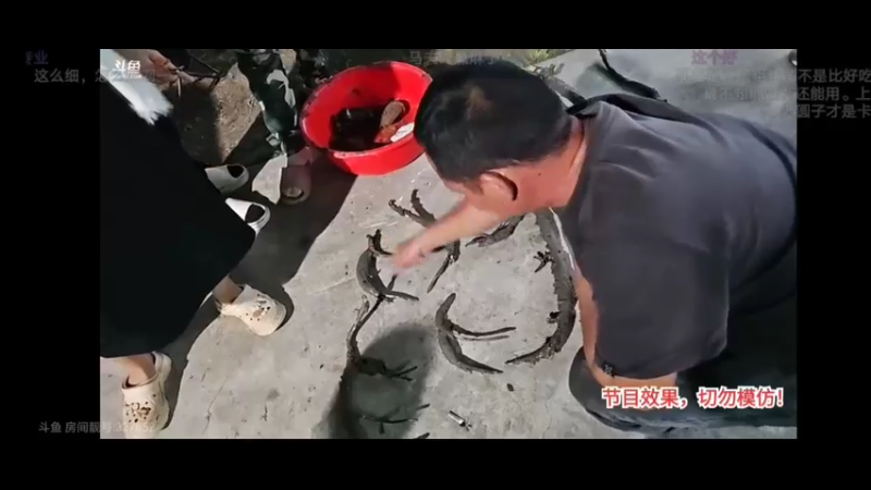 肖哥让强爸评选哪对的莲藕价值最高