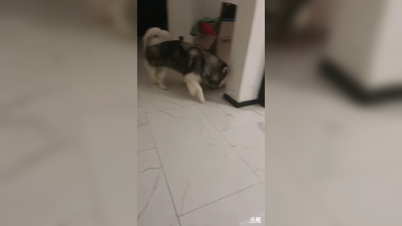 【2023-10-25 22点场】A趣趣趣趣：黄金双倍亲密度！