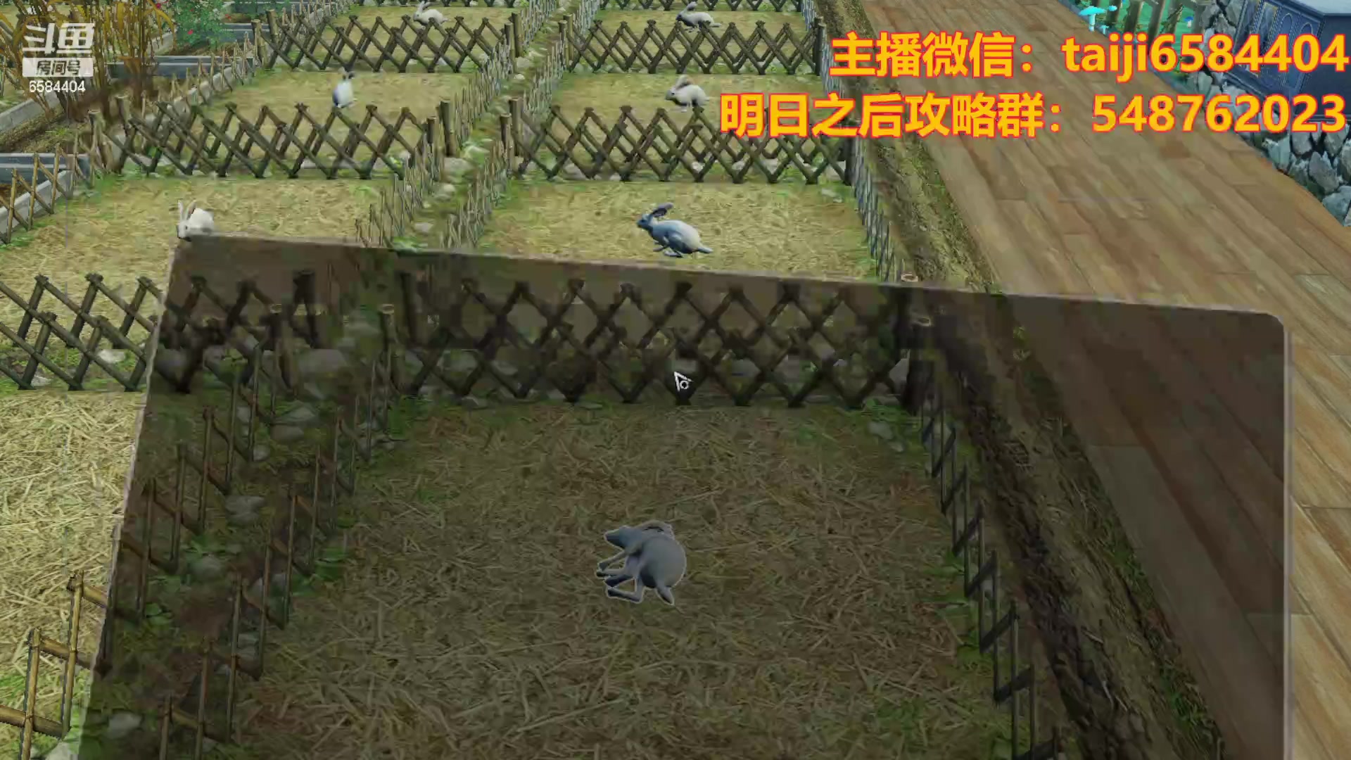 【2023-10-25 17点场】中华田园冯太极：一天五庄，钻粉发车