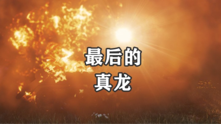 【坦克世界】王五棍龙入浅谈被豹欺