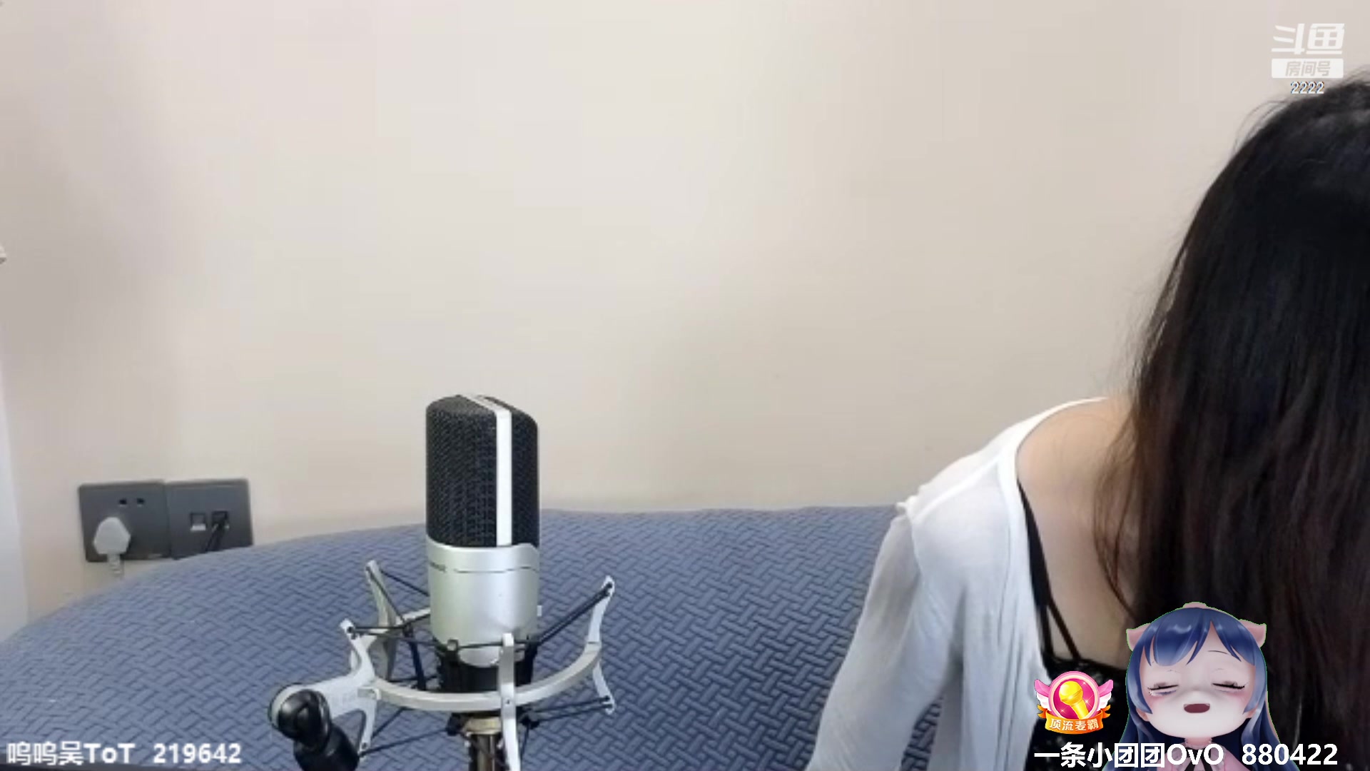 【2023-10-26 20点场】一条小团团OvO：七点来～加班